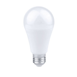 Ampoules LED standard 12W